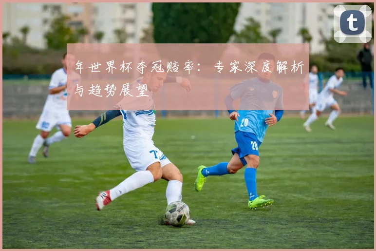 年世界杯夺冠赔率：专家深度解析与趋势展望