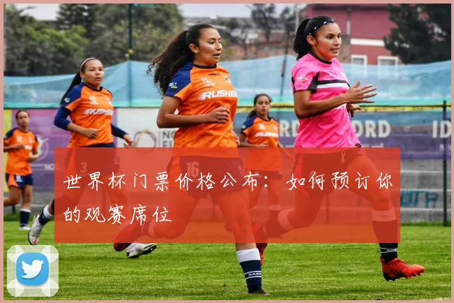 世界杯门票价格公布:如何预订你的观赛席位